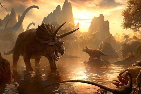 Ini Dia Fakta Unik Gigi Pisau Triceratops, Dinosaurus Tanduk Tiga
