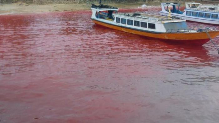 air laut menjadi merah di perairan banda maluku tengah