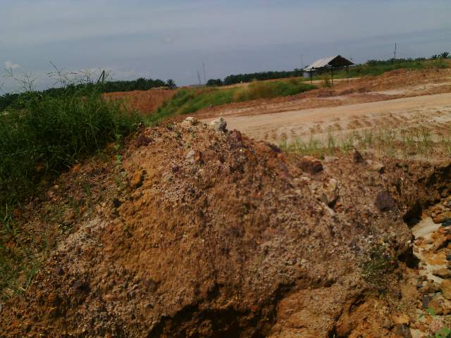 AMPB Sebut Ada Tambang Ilegal di Babel