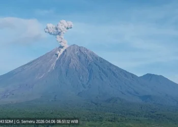Gunung Semeru erupsi 7 kali Senin pagi, tinggi letusan mencapai 1,1 km