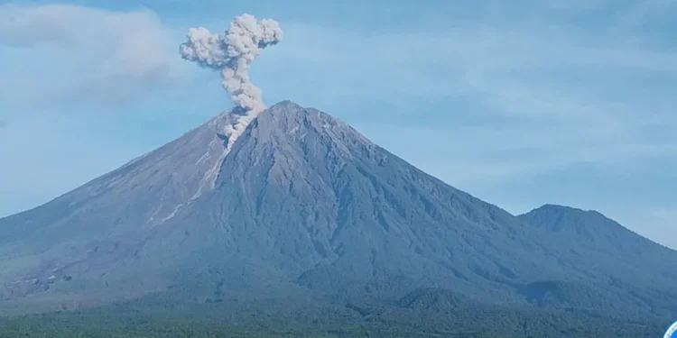 Gunung Semeru erupsi 7 kali Senin pagi, tinggi letusan mencapai 1,1 km