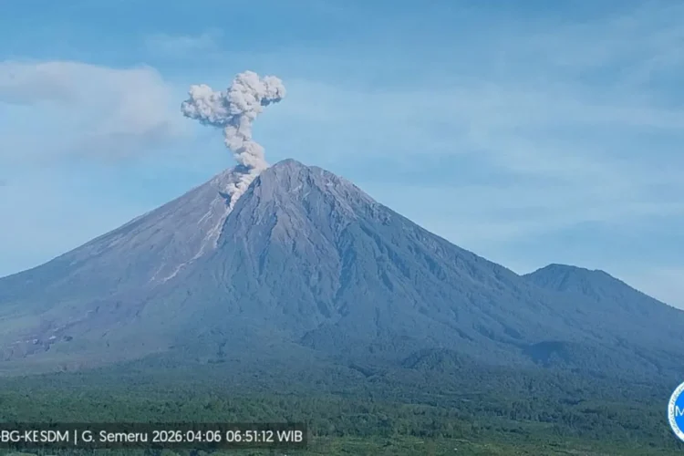 Gunung Semeru erupsi 7 kali Senin pagi, tinggi letusan mencapai 1,1 km