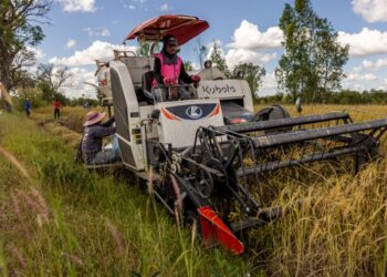 Kelangkaan BBM Akibat Perang Iran Ancam Produksi Beras di Asean