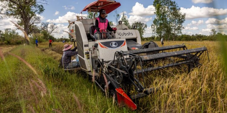 Kelangkaan BBM Akibat Perang Iran Ancam Produksi Beras di Asean