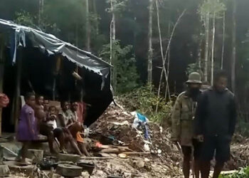 Satgas Damai Cartenz Tangkap 2 KKB Penembak Ojek di Papua