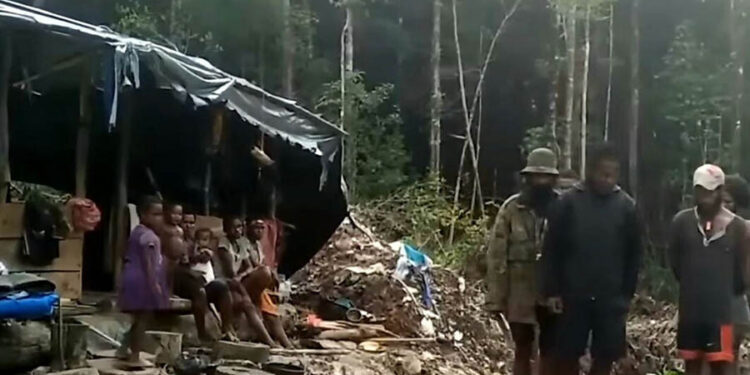 Satgas Damai Cartenz Tangkap 2 KKB Penembak Ojek di Papua