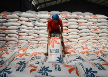 Pondasi Sistem Logistik Nasional: Refleksi Pengabdian dan Estetika Konstitusi