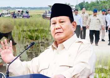 Simak Bukti Kebijakan di Balik Swasembada & Kesejahteraan Petani