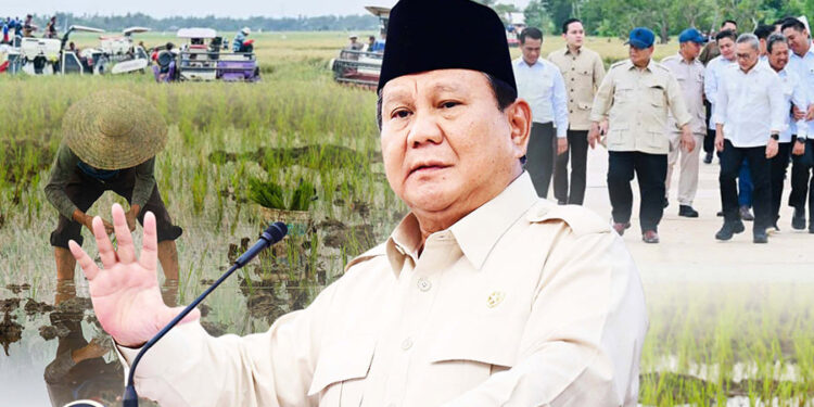 Simak Bukti Kebijakan di Balik Swasembada & Kesejahteraan Petani