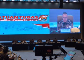 Masyarakat Sumatera Mulai Rasakan Percepatan Pemulihan, Dasco Terus Kawal Satgas