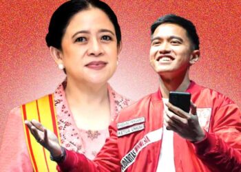 PDIP Soal Kaesang Pangarep jadi Caleg di Dapil Puan Maharani