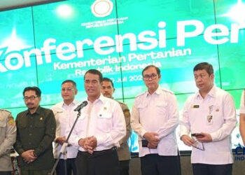 Amran Luruskan Omongan Prabowo soal Penggilingan Beras Untung Rp2 T