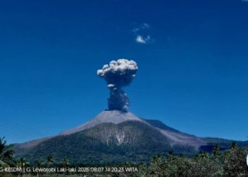 Gunung Lewotobi Laki-laki Erupsi, 36 Kali Gempa Letusan dan Letusan Abu Setinggi 1.000 Meter