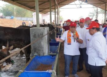 Investasi Rp1 Triliun, Kawasan Peternakan Ciangir Mulai Dibangun Akhir 2026