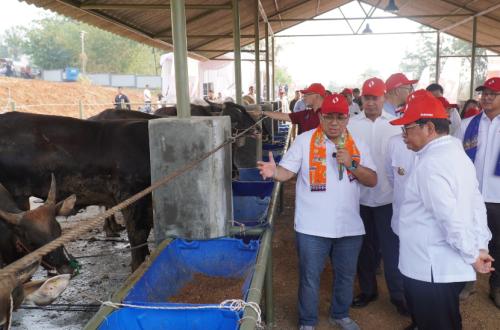 Investasi Rp1 Triliun, Kawasan Peternakan Ciangir Mulai Dibangun Akhir 2026