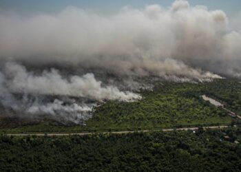 Kabut Asap Kembali Selimuti Kalimantan, Pembakaran Lahan di Area Konsesi Tak Kunjung Usai
