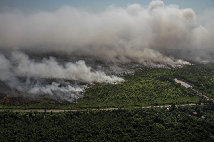 Kabut Asap Kembali Selimuti Kalimantan, Pembakaran Lahan di Area Konsesi Tak Kunjung Usai