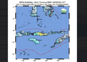 Update Data Korban Gempa NTT Pukul 11.30 WIB: 38 Tewas, 13 Luka, dan 2 Tertimbun