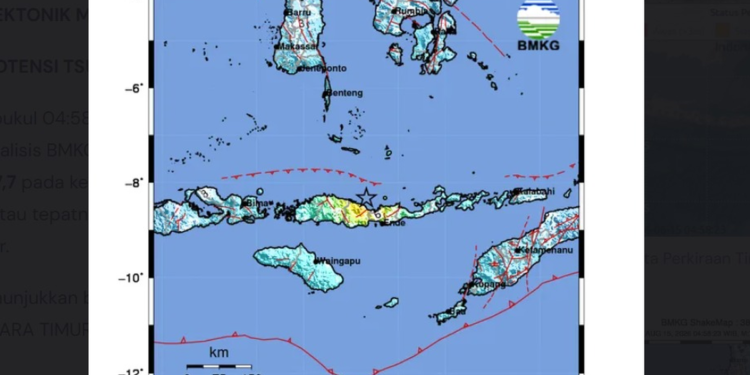 Update Data Korban Gempa NTT Pukul 11.30 WIB: 38 Tewas, 13 Luka, dan 2 Tertimbun