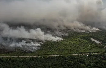 Kapolri Tangkap Sejumlah Pelaku Pembakar Lahan Kalimantan