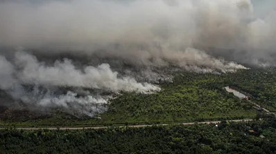 Kapolri Tangkap Sejumlah Pelaku Pembakar Lahan Kalimantan