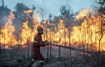 90 Persen Karhutla di Kalimantan Disebut Disengaja untuk Buka Lahan Sawit, Menteri LH: “Ini Kejahatan Terencana”