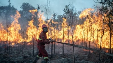 90 Persen Karhutla di Kalimantan Disebut Disengaja untuk Buka Lahan Sawit, Menteri LH: “Ini Kejahatan Terencana”