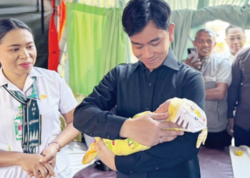 Wapres Gibran Gendong Bayi Korban Gempa di Flores, Janji Bantu Biaya Kuliah Hingga Selesai