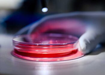 BPOM Peringatkan Klinik Ilegal Stem Cell: Ancaman 12 Tahun Penjara!
