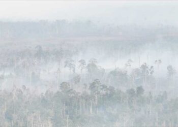 Titik Panas di Kalimantan Kembali Naik, Kualitas Udara Buruk