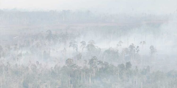 Titik Panas di Kalimantan Kembali Naik, Kualitas Udara Buruk