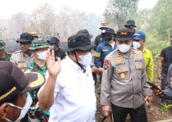 Menteri LH: 355 Perusahaan Berpotensi Disegel Akibat Karhutla, 4 Korporasi Sudah Diselidiki