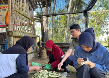 Ubah Sampah Jadi Rupiah, Program PLN EPI Raup Cuan Hingga Rp1,5 Juta Per Bulan