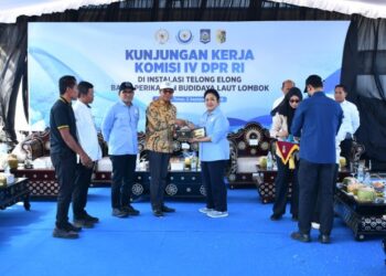 Komisi IV DPR Dorong Indonesia Jadi Produsen Lobster Terbesar Dunia, Nelayan Lotim Curhat Minim Freezer