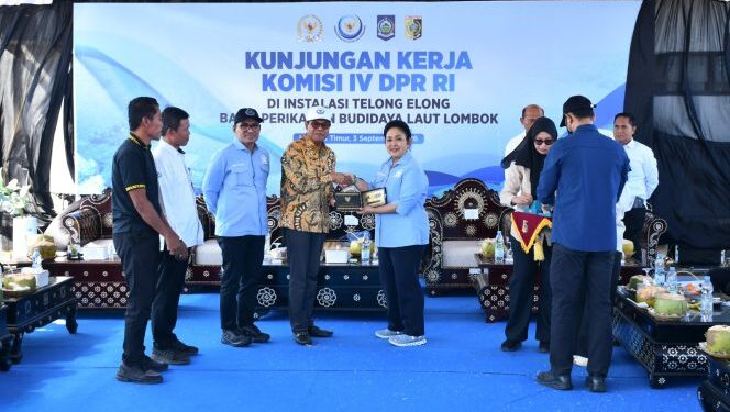 Komisi IV DPR Dorong Indonesia Jadi Produsen Lobster Terbesar Dunia, Nelayan Lotim Curhat Minim Freezer