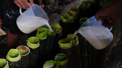 Ironi RI Kaya Kelapa Tapi Impor Puluhan Ribu Ton Santan dari Singapura