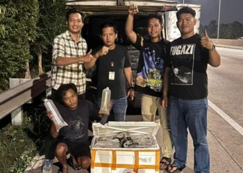 Polda Metro Sergap Pikap Mencurigakan Angkut 150 Ribu Benih Bening Lobster